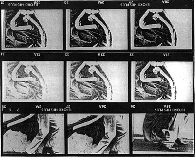 invitation card: Sturtevant